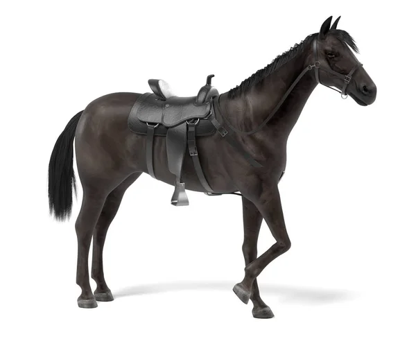 Renderização 3d realista de cavalo — Fotografia de Stock