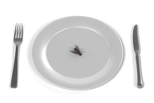 3D рендеринг мухи на тарелке — стоковое фото