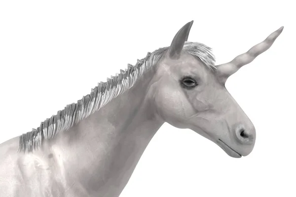Realistic 3d render of unicorn — Stock Photo, Image