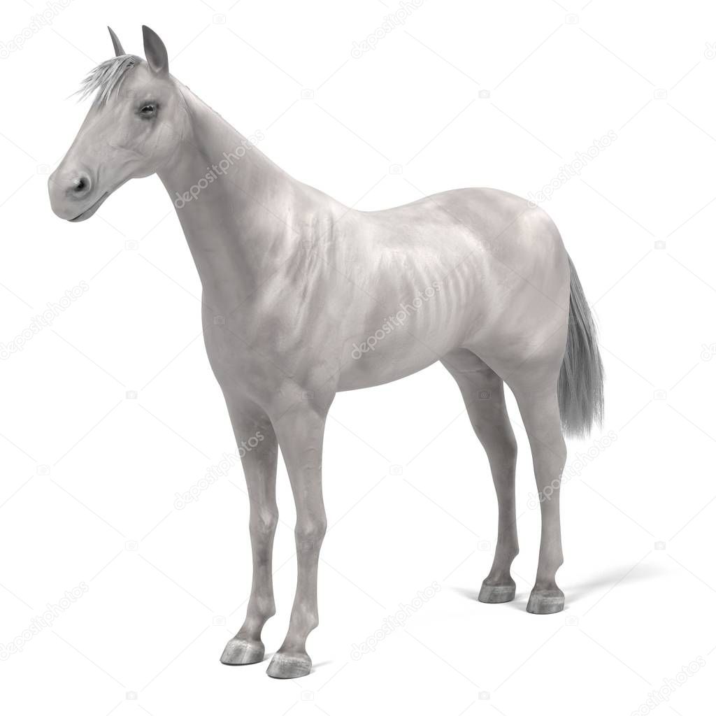 realistic 3d render of white horse