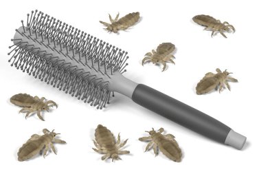 lices tarak üzerinde 3D render