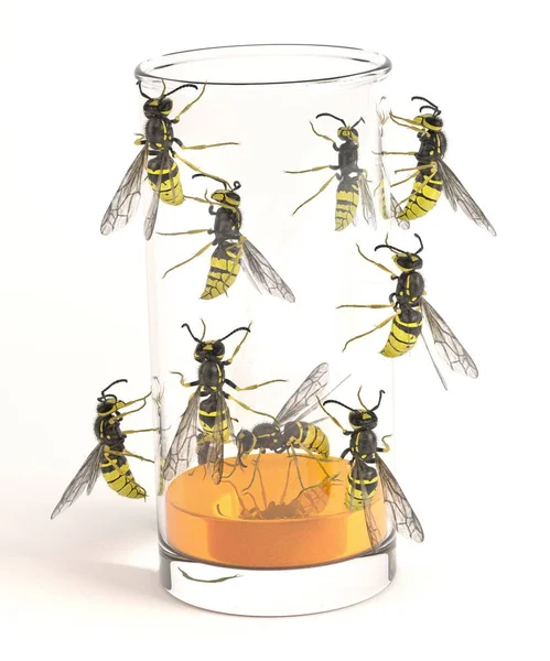 Içki wasp 3D render — Stok fotoğraf