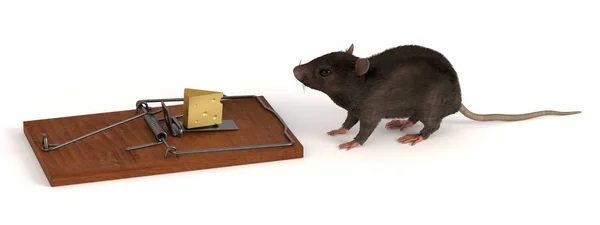 3d renderizado de ratón con ratonera —  Fotos de Stock