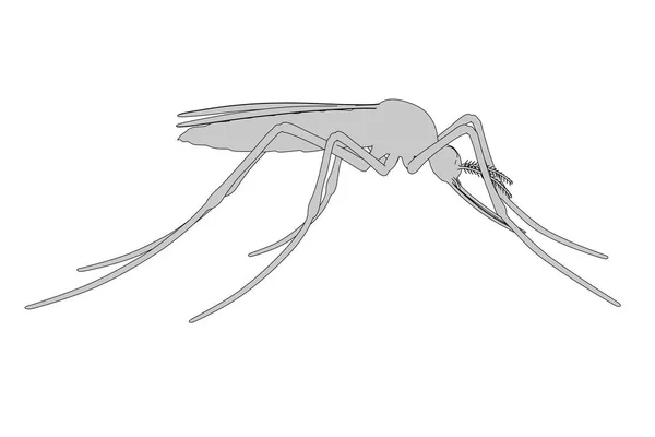 2d cartoon illustration of mosquito — Stock Photo, Image