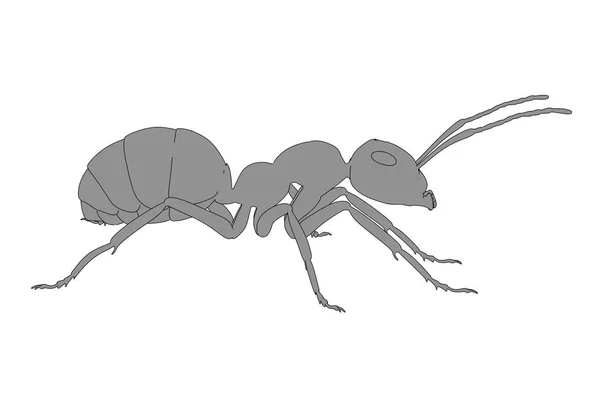 2D illustratie van de cartoon voor ant — Stockfoto