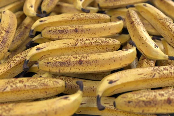 Realistische 3d render van banaan — Stockfoto