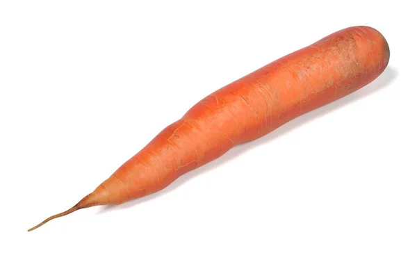 Renderização 3d realista de cenoura — Fotografia de Stock