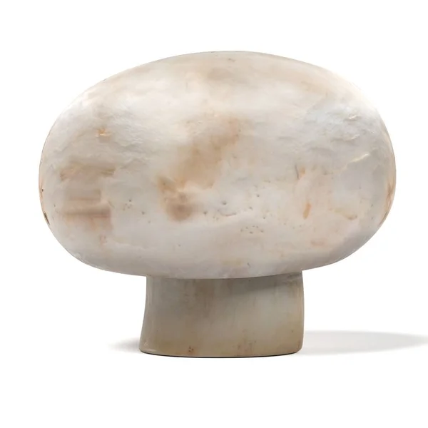 真实的 3d 渲染的香菇 — 图库照片