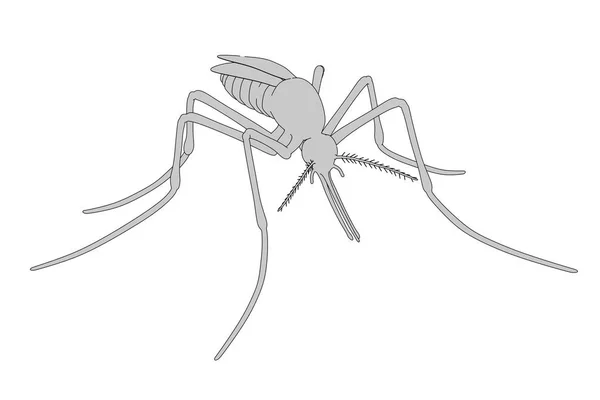 2d cartoon illustration of mosquito — Stock Photo, Image