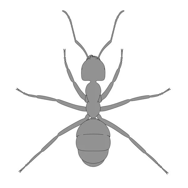 2d cartoon illustration of ant — Stock Photo, Image