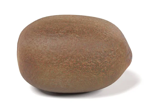 Realistic 3d render of kiwi fruit — Stock Photo, Image