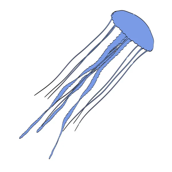 2d cartoon illustration of jellyfish — Stock Photo, Image