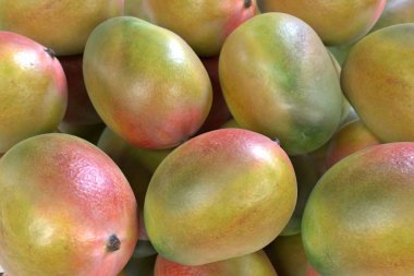 mango meyve gerçekçi 3d render