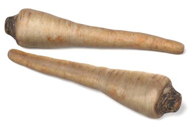 maydanoz kökü gerçekçi 3d render