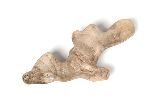 Realistic 3d render of ginger root — Stock Photo, Image