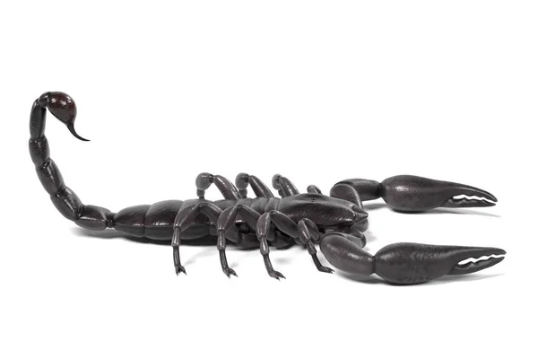 Realistyczne 3d render z black scorpion — Zdjęcie stockowe