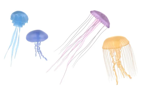 Realistyczne renderowanie 3d jellyfishes — Zdjęcie stockowe