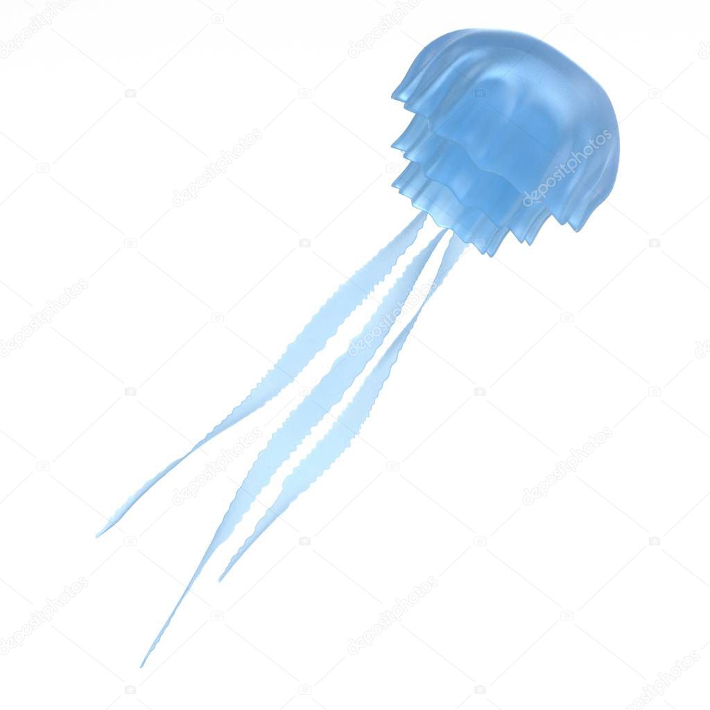 realistic 3d render of jellyfish