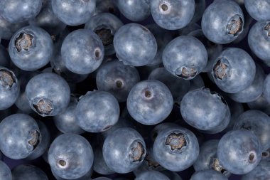 yaban mersini gerçekçi 3d render