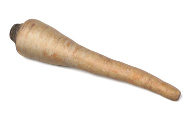 maydanoz kökü gerçekçi 3d render