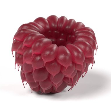 Ahududu gerçekçi 3d render