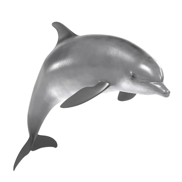 Realistic 3d render of bottlenose dolphin — Stock Photo, Image