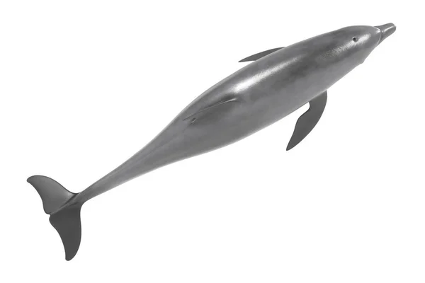 Realistica resa 3d del delfino tursiope — Foto Stock