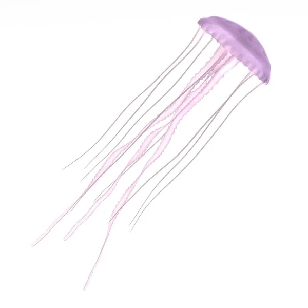 Реалістичний 3d візуалізація медуз — стокове фото