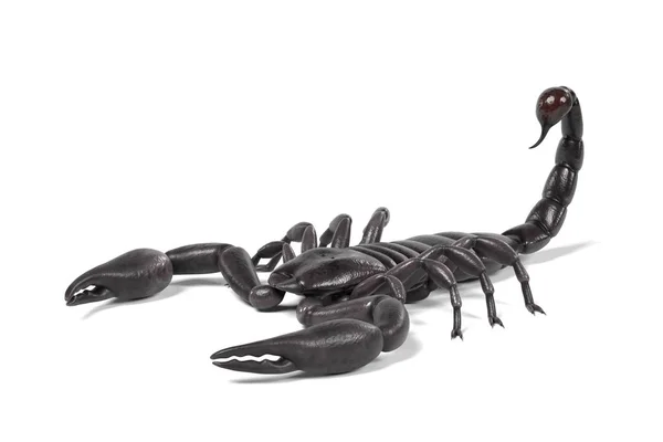 Realistyczne 3d render z black scorpion — Zdjęcie stockowe