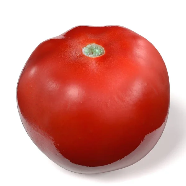 Rendering 3d tomatorealistico del pomodoro — Foto Stock