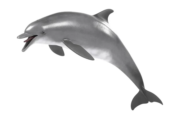 Renderização 3d realista de golfinho engarrafado — Fotografia de Stock