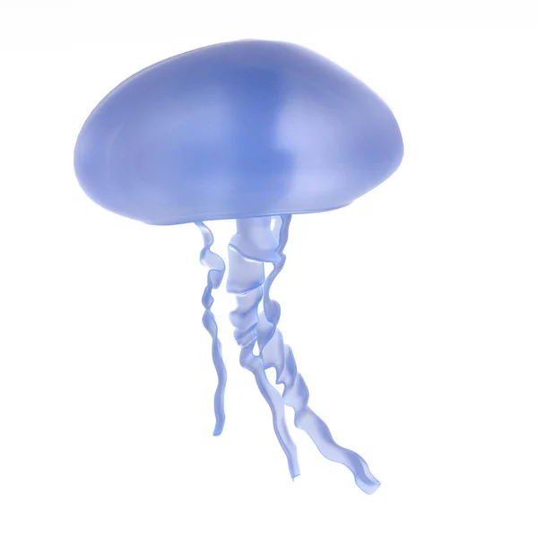 Realistyczne renderowanie 3d Jellyfish — Zdjęcie stockowe