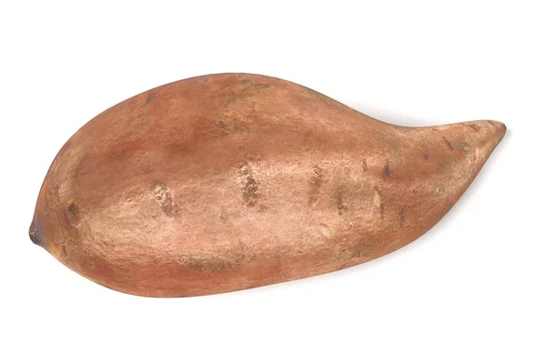 Realistic 3d render of sweet potato — Stock Photo, Image