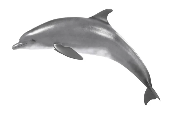 Ρεαλιστική 3d καθιστούν ρινοδέλφινο — Φωτογραφία Αρχείου