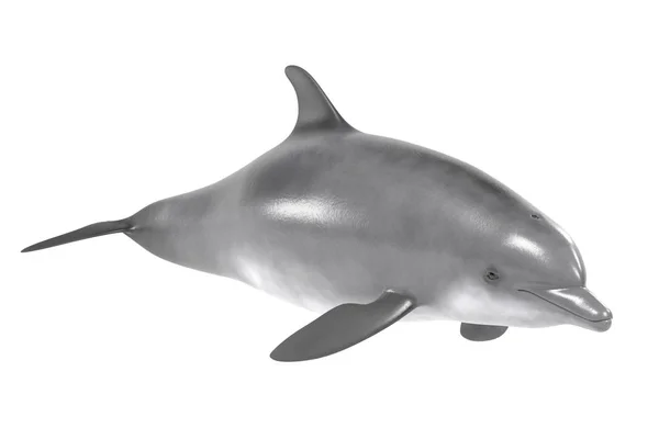 真实的 3d 渲染的宽吻海豚 — 图库照片