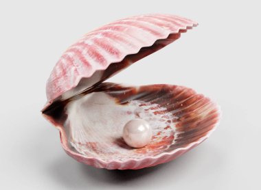Realistic 3D Render of Clam clipart