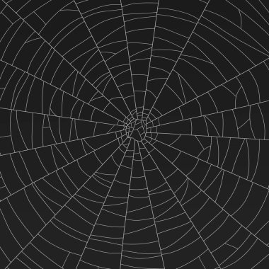 Örümcek ağı gerçekçi 3d Render