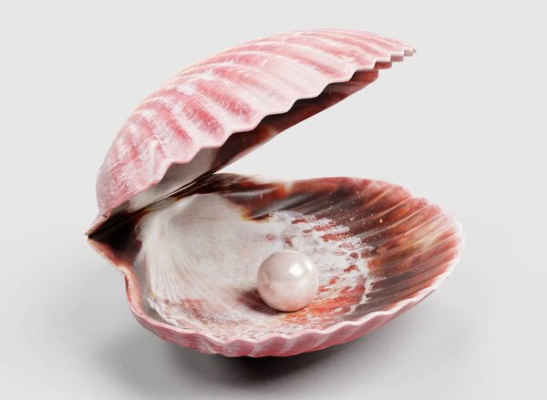 Оправдавший себя 3D Render of Clam
