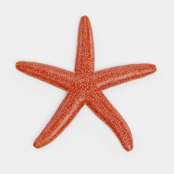 Deniz Yıldızı Gerçekçi Render — Stok fotoğraf