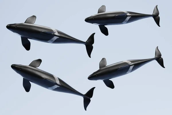 Realista Render Killer Whale — Foto de Stock