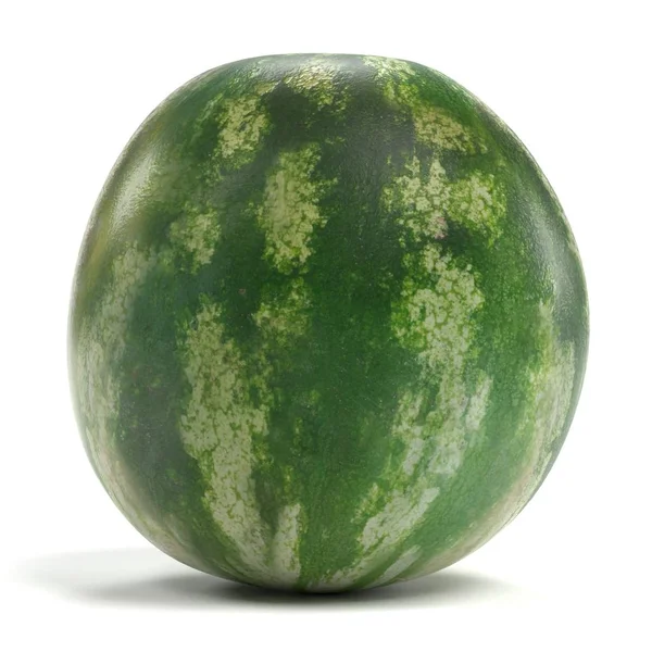 Realistico Rendering Melone — Foto Stock