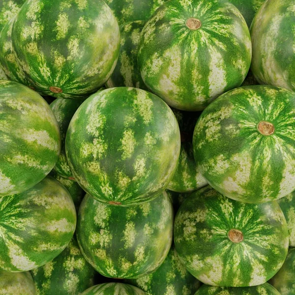Realistisk Render Meloner — Stockfoto