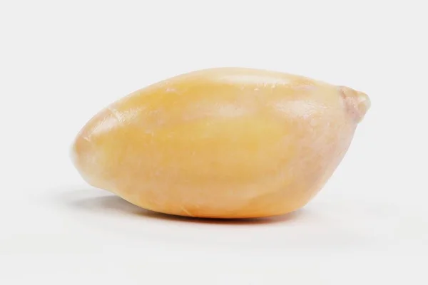 Realistic Render Clam — Stock Photo, Image