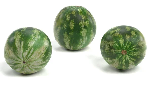 Realistisk Render Melon — Stockfoto