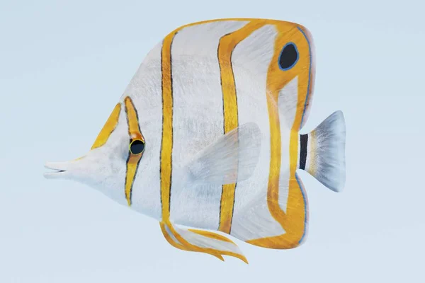 Copperband Butterflyfish 的逼真3D — 图库照片