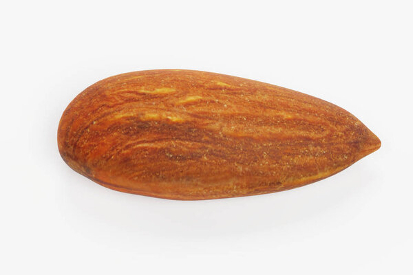 Realistic 3D Render of Almond