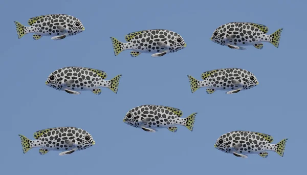 アンダマン コショウダイ魚の現実的な のレンダリング — ストック写真