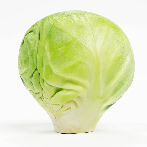 Realistic Render Brussels Sprouts — Stock Photo, Image