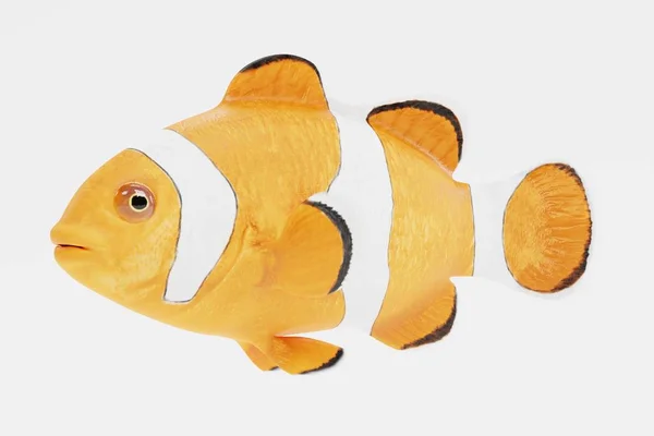 Realistické Vykreslení Clownfish — Stock fotografie