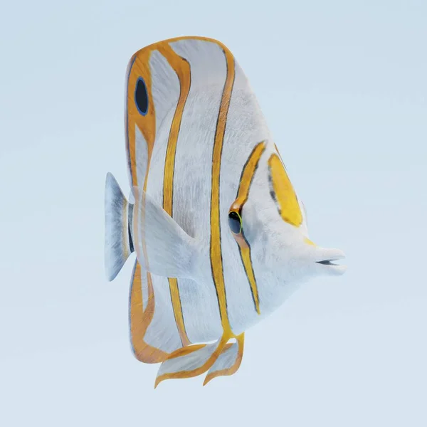 Copperband Butterflyfish 的逼真3D — 图库照片